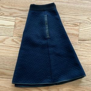 Madewell skirt